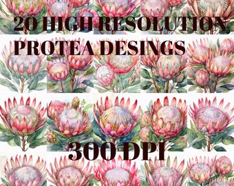 Watercolor Protea digital designs for crafts, sublimation, scrap booking, decoupage, PNG, INSTANT DOWNLOAD, 20 designs
