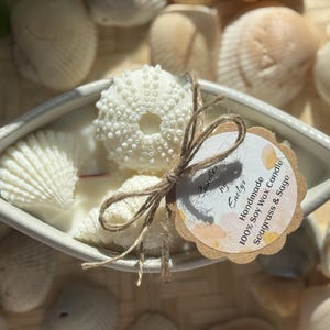 Puede incluir: Una vela de cera de soja blanca en un plato en forma de barco, decorada con conchas marinas y un erizo de mar. La vela está atada con hilo y tiene una etiqueta que dice "Handmade 100% Soy Wax Candle Seagrass & Sage."