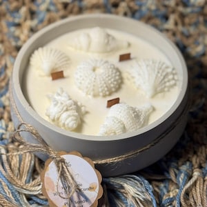 Bougie en cire de soja faite main, parfum « Pink Sands », arôme relaxant, récipient en ciment fait main, déco coquillage