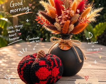 Crochet Tapestry Pumpkin with Spider Pattern in Red & Black – Halloween Crochet PDF Pattern
