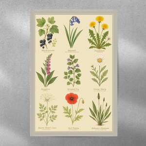 Britische Fauna No 1 - Kunstdruck Poste Wanddekor
