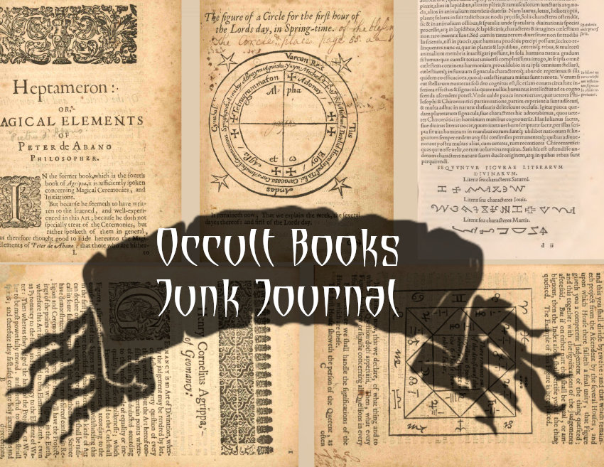 【裁断済】希少 Books Esoterica 精選19冊セット悟り・内観・修行 全身 / 金田咲子 [37286][並] | 書肆田高