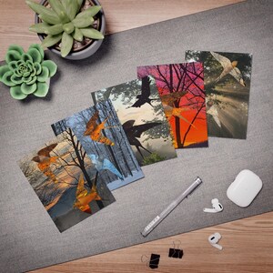 Set di biglietti d'auguri Barnswallow multi-design - Confezione da 5 per tutte le occasioni