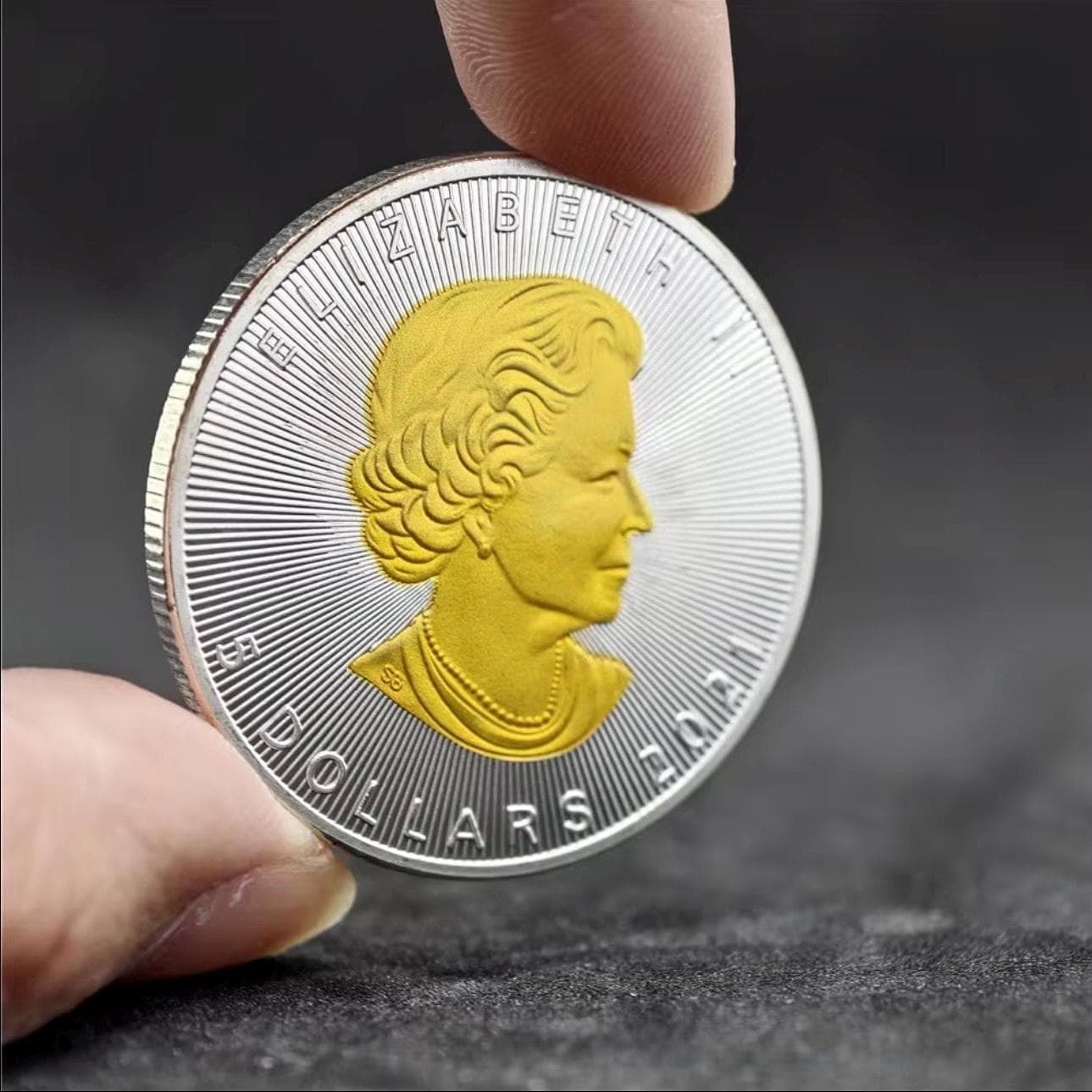 Canada 2 dollar coin - Etsy 日本
