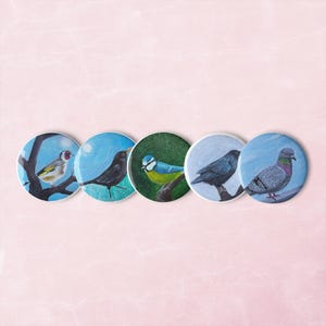 British Bird Pin Badges: Set of Five Tinplate Pins