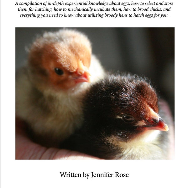 Re-Think: Hatching Bird Eggs - All about eggs, mechanical incubation, and utilizing broodies - a 15,300 word educational .PDF by Desert Rose