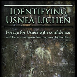 Identifying Usnea: Forage for Usnea with Confidence 30 Color Photos of Usnea and its look-alikes an educational .PDF by Desert Rose image 1