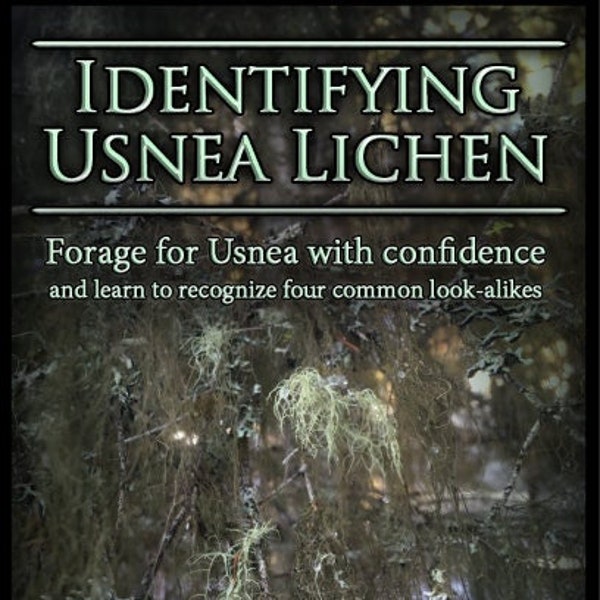 Identifying Usnea: Forage for Usnea with Confidence - 30+ Color Photos of Usnea and its look-alikes - an educational .PDF by Desert Rose