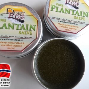 Pure Plantain Leaf Salve 0.5 or 1.0fl oz. Groblad wildcrafted, herbal ingredients, handmade Plantago major Ships from Norway zdjęcie 4