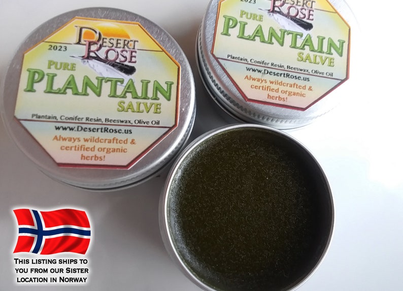 Pure Plantain Leaf Salve 0.5 or 1.0fl oz. Groblad wildcrafted, herbal ingredients, handmade Plantago major Ships from Norway zdjęcie 4