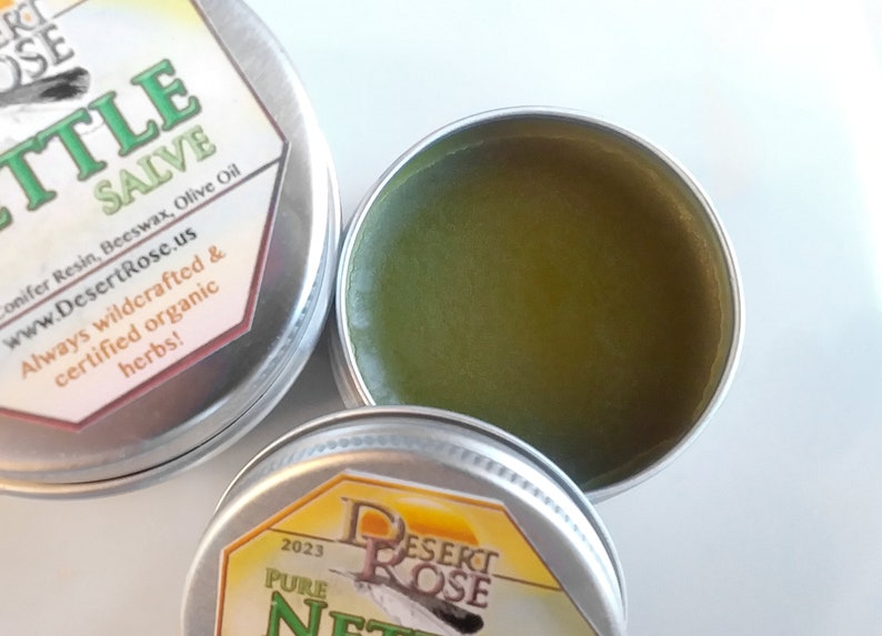 Pure Stinging Nettle Salve: .5 or 1 fl oz wildcrafted herbal ingredients, handmade all natural topical remedy Urtica Dioica image 5