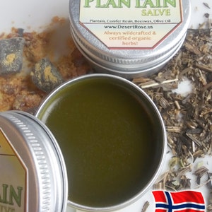 Pure Plantain Leaf Salve 0.5 or 1.0fl oz. Groblad wildcrafted, herbal ingredients, handmade Plantago major Ships from Norway zdjęcie 2