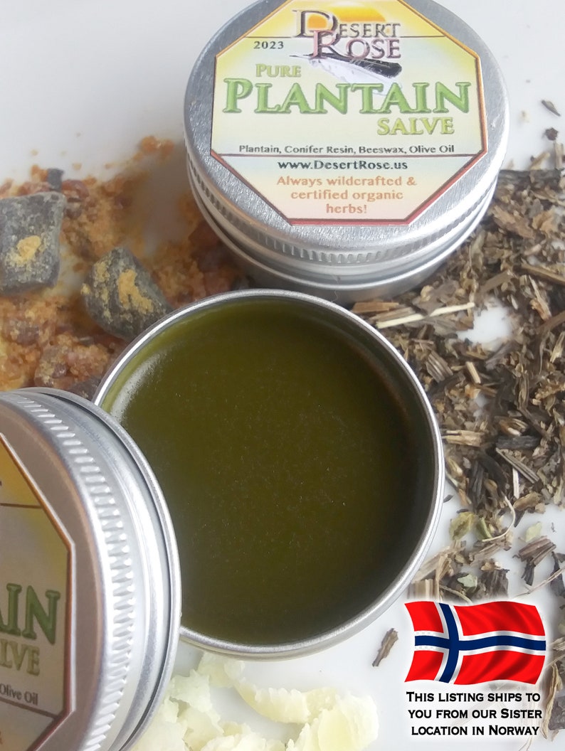 Pure Plantain Leaf Salve 0.5 or 1.0fl oz. Groblad wildcrafted, herbal ingredients, handmade Plantago major Ships from Norway zdjęcie 2