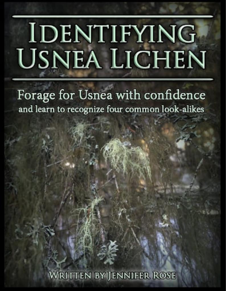 Identifying Usnea: Forage for Usnea with Confidence 30 Color Photos of Usnea and its look-alikes an educational .PDF by Desert Rose image 1