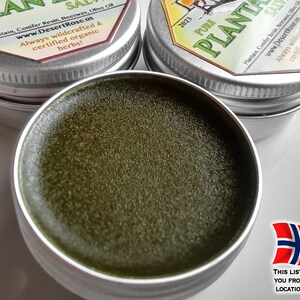 Pure Plantain Leaf Salve 0.5 or 1.0fl oz. Groblad wildcrafted, herbal ingredients, handmade Plantago major Ships from Norway zdjęcie 3