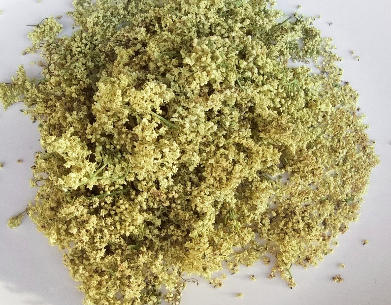 1,1 oz. / 30g Wildcrafted Elder Flower duurzaam geoogst wildcrafted 2023 Sambucus cerulea afbeelding 9