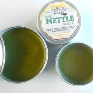 Pure Stinging Nettle Salve: .5 or 1 fl oz wildcrafted herbal ingredients, handmade all natural topical remedy Urtica Dioica image 3