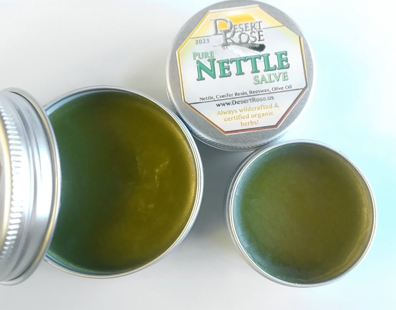 Pure Stinging Nettle Salve: .5 or 1 fl oz wildcrafted herbal ingredients, handmade all natural topical remedy Urtica Dioica image 3