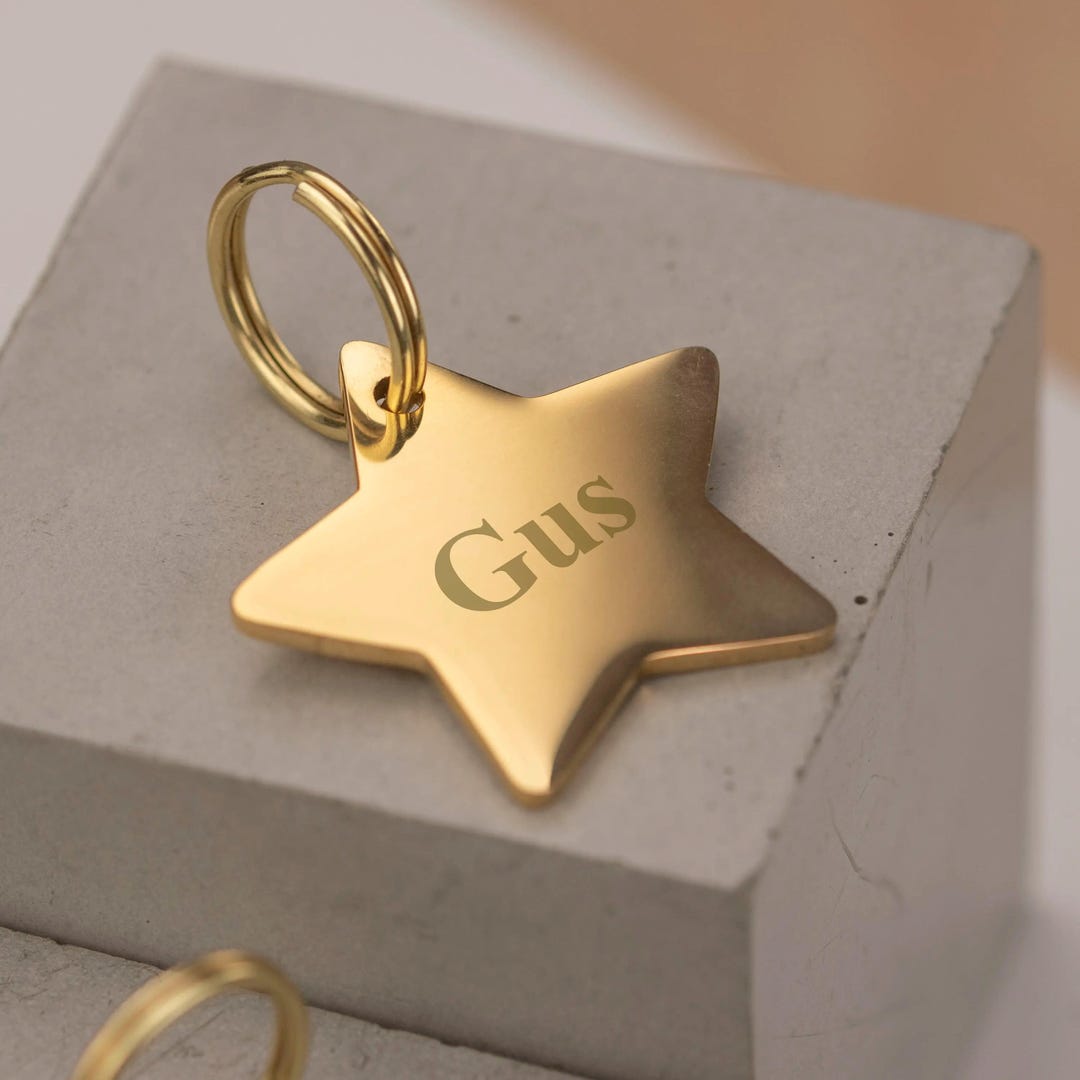 Small Round Engraved Dog Or Cat ID Tag – Multiple Colors, Free Split Ring Included