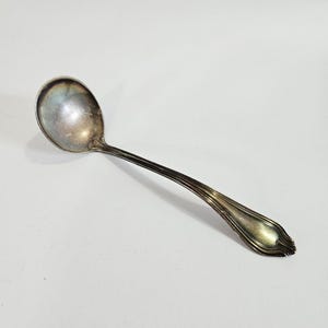Peut inclure: Une cuillère argentée avec un bol ovale et un long manche fin. La poignée a un motif décoratif près de l'extrémité. La cuillère est probablement en métal et est conçue pour servir ou manger.