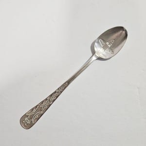 May include: A silver spoon with an oval bowl and a long, slender handle. The bowl features a floral design, and the handle is decorated with an intricate pattern. The spoon is likely made of stainless steel or silver.