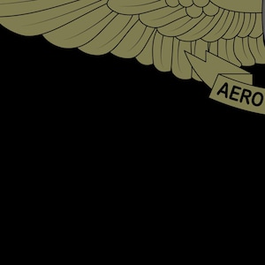 May include: A gold-colored military wing patch with a gray eagle and shield. The shield has a black background and white stars. The text "AERO MAINTENANCE" is written on a gray ribbon.