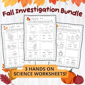 May include: Three educational science worksheets titled Fall Investigation Bundle, Leaf Investigation, Apple Investigation, and Pumpkin Investigation. Each black and white printable page features line art illustrations and prompts for observing seasonal items.
