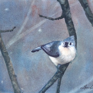Tufted Titmouse Print | Winter Bird Art | Nature Decor | Laura Poss Art