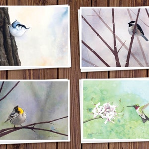 8 Watercolor Note Cards with Envelopes, Four Assorted Bird Watercolor Paintings by Laura D. Poss, Blank Inside // Handmade Cards image 1