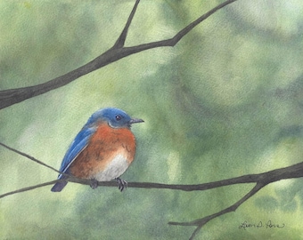 Bluebird Watercolor Print | Garden Bird Art | Nature Lover Gift | Laura Poss Art