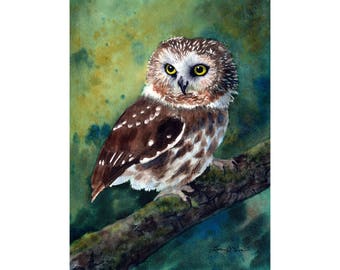 Northern Saw-whet Owl Print | Woodland Bird Art | Wildlife Owl Art | Laura Poss Art