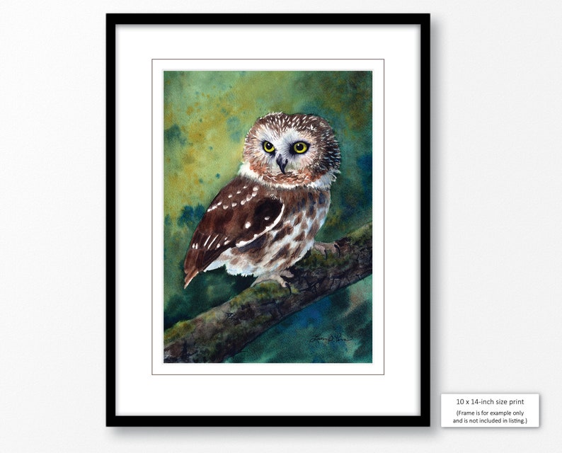 3 sizes Watercolor Print of a Saw-whet Owl from a painting image 5