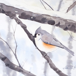 Tufted Titmouse Watercolor Print | Backyard Bird Art | Nature Decor | Laura Poss Art