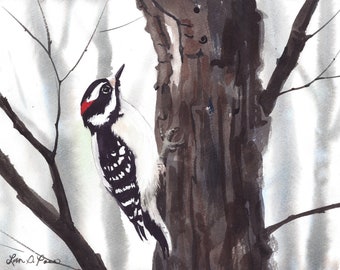 2 sizes- Watercolor Print of a Downy Woodpecker, from a painting by Laura Poss // 5x7 inches or 8x10 inches