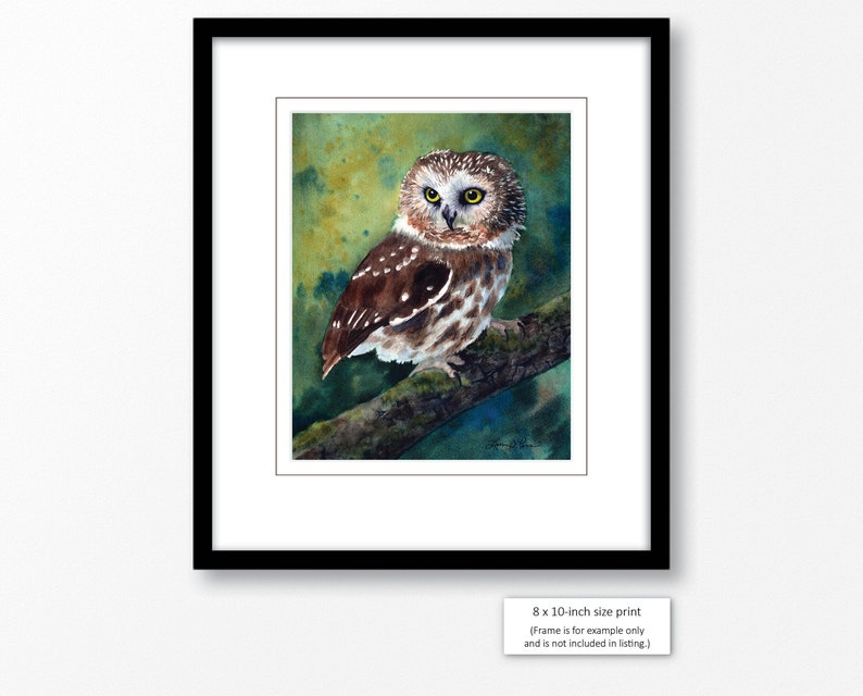 3 sizes Watercolor Print of a Saw-whet Owl from a painting image 4