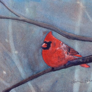 Northern Cardinal Watercolor Print | Winter Bird Art | Nature Gift | Laura Poss Art