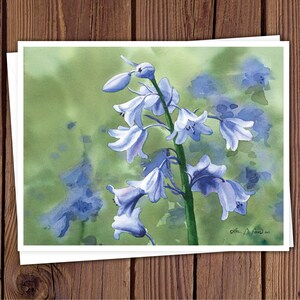 8 Watercolor Note Cards with Envelopes, Featuring Four Assorted Floral Watercolor Paintings by Laura Poss, Blank Inside // handmade cards image 3