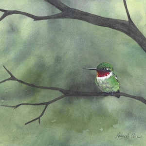 Hummingbird Watercolor Print | Ruby-Throated Art | Nature Decor | Laura Poss Art
