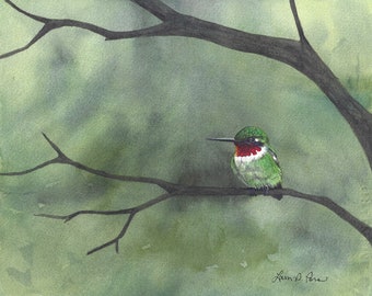 2 sizes- Watercolor Print of a Hummingbird, from a painting by Laura Poss, 5x7 inches or 8x10 inches