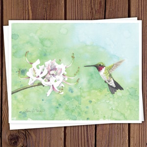 8 Watercolor Note Cards with Envelopes, Four Assorted Bird Watercolor Paintings by Laura D. Poss, Blank Inside // Handmade Cards image 6