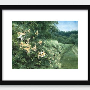 3 sizes Watercolor Print of a Hummingbird and Honeysuckle, from a Landscape Painting by Laura Poss image 3