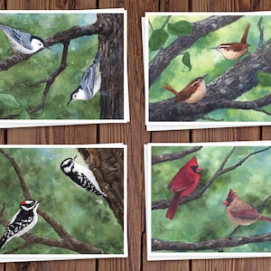8 aquarel notitiekaarten met enveloppen, met vier verschillende aquarel vogelschilderijen van Laura Poss, blanco binnenkant//handgemaakte notitiekaarten