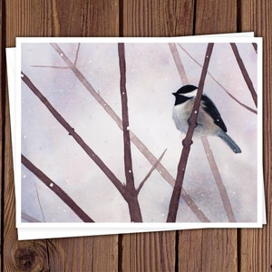 8 Watercolor Note Cards with Envelopes, Four Assorted Bird Watercolor Paintings by Laura D. Poss, Blank Inside // Handmade Cards image 3