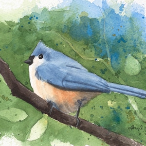 5x7 Tufted Titmouse Print | Watercolor Bird Art | Backyard Bird Art | Laura Poss Art