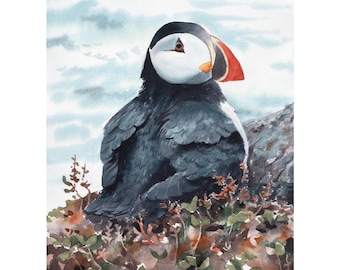 Original Puffin Watercolor Painting | Coastal Wildlife Art, 10.25x14.25