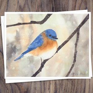 8 Aquarell Grußkarten mit Umschlägen, mit Aquarellbild eines östlichen Rotkehlchens von Laura Poss, innen leer, handgemachte Karten