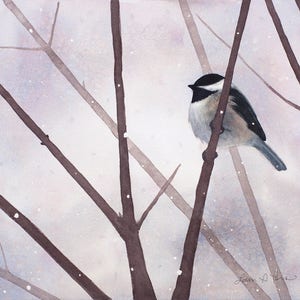 Chickadee Watercolor Print | Nature Art Print | Winter Bird Decor | Laura Poss Art