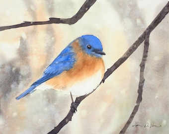 2 sizes- Watercolor Print of a Bluebird, from a painting by Laura D. Poss // 5x7 inches or 8x10 inches