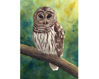 Barred Owl Watercolor Print | Wildlife Art | Forest Owl Art | Laura Poss Art