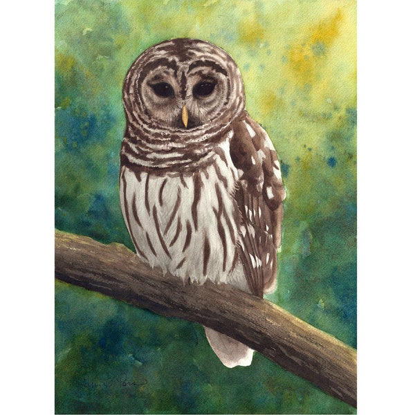 3 sizes- Watercolor Print of a Barred Owl, from a painting by Laura Poss // 5x7, 8x10, or 10x14 inches